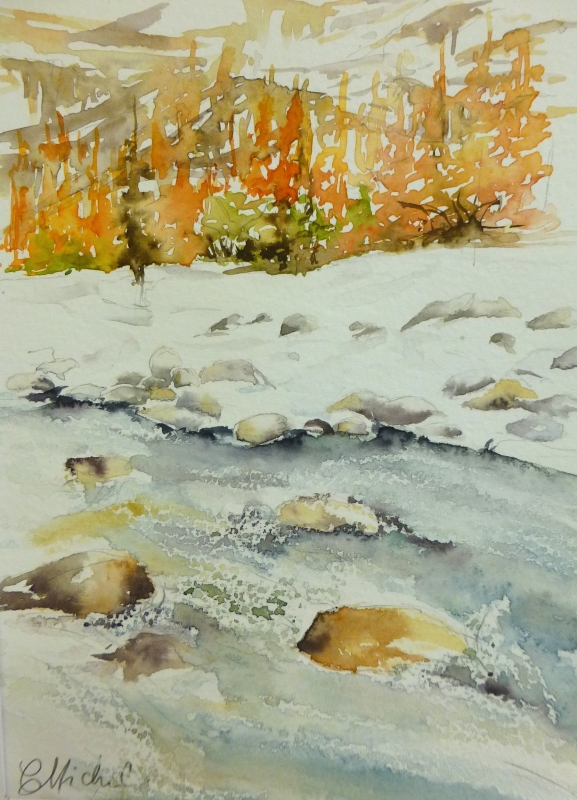 vente aquarelle PFC 42