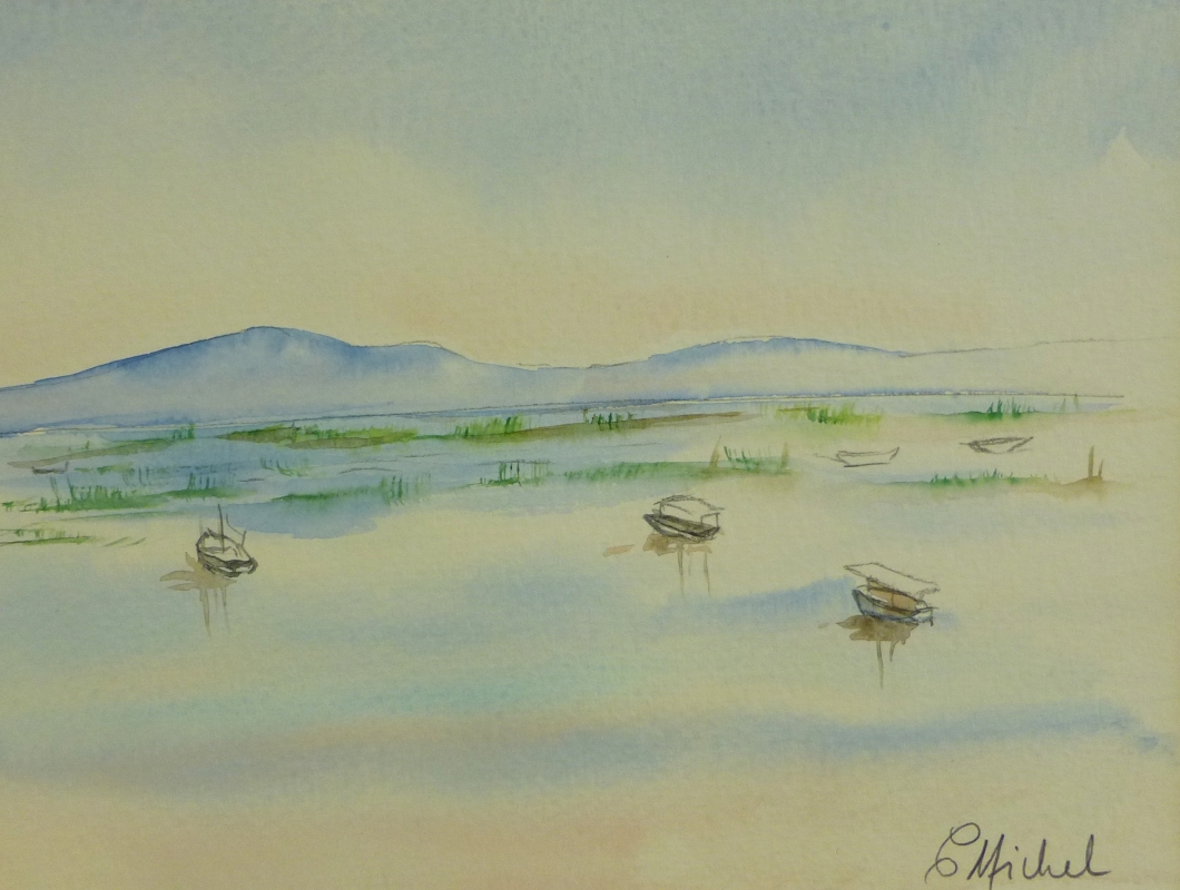 vente aquarelle PFC 50