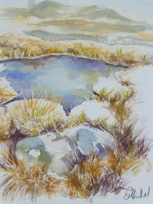 vente aquarelle PFC 80