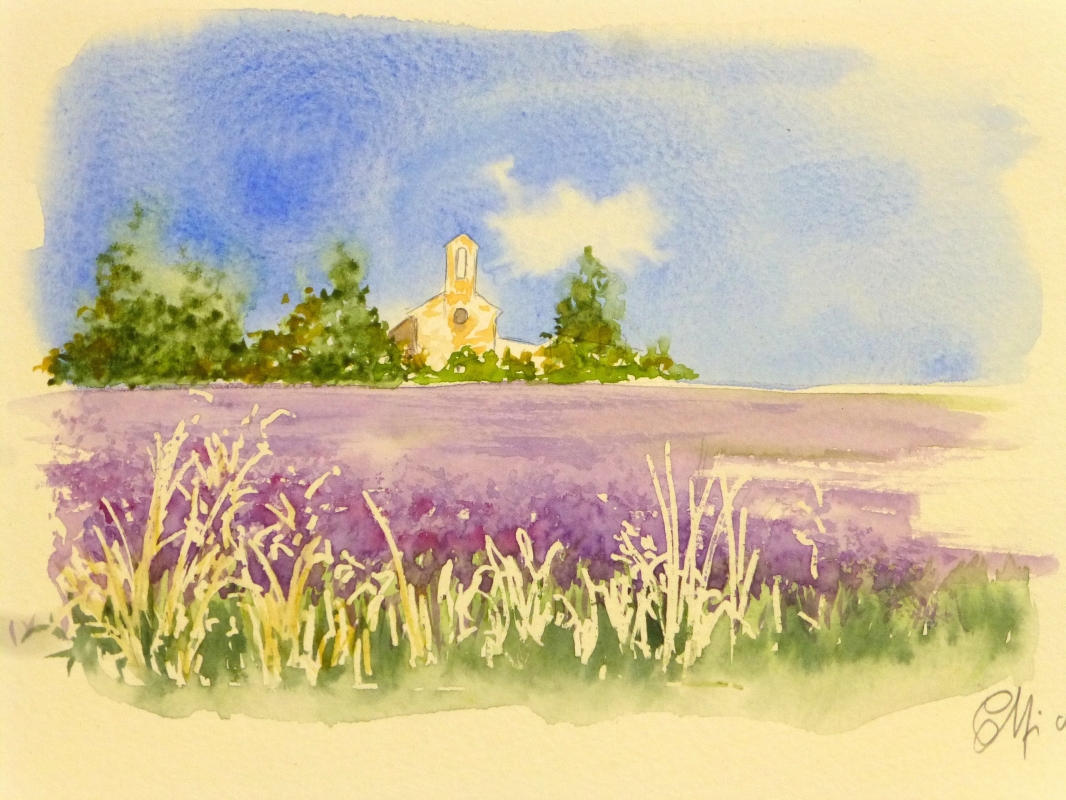 vente aquarelle PFC 81