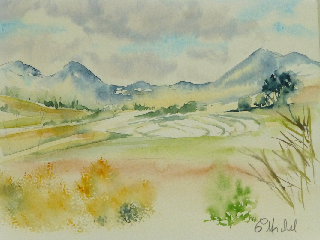 vente aquarelle PFC 87
