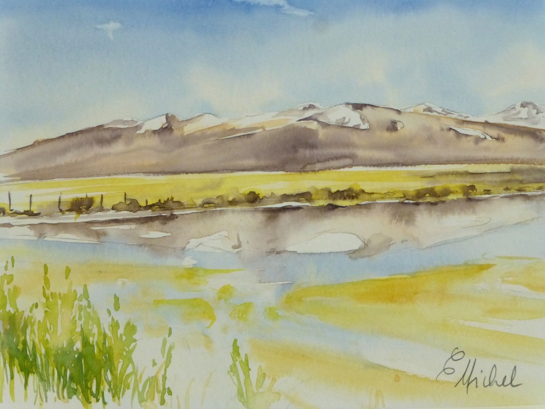 vente aquarelle PFC 90