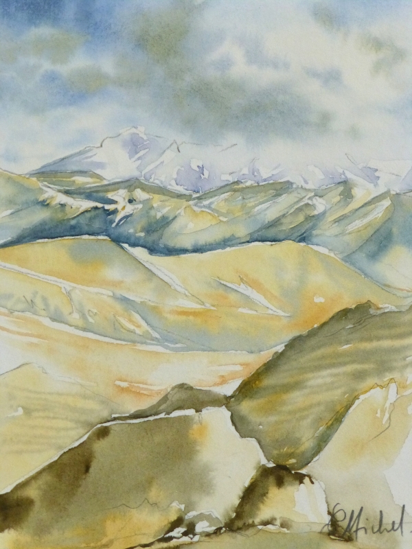 vente aquarelle PFC 91