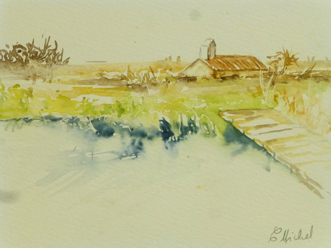 vente aquarelle PFC 96