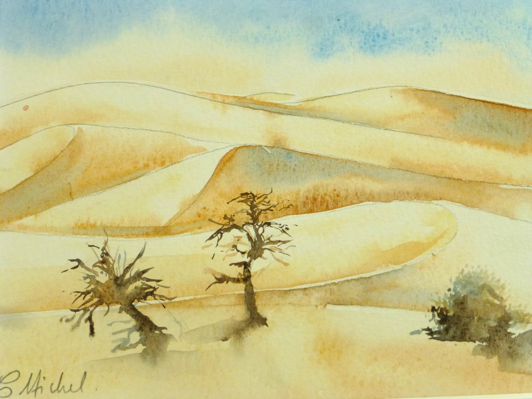 vente aquarelle PFC 100