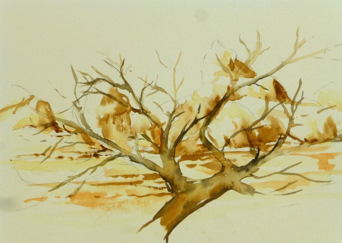 vente aquarelle PFC 102