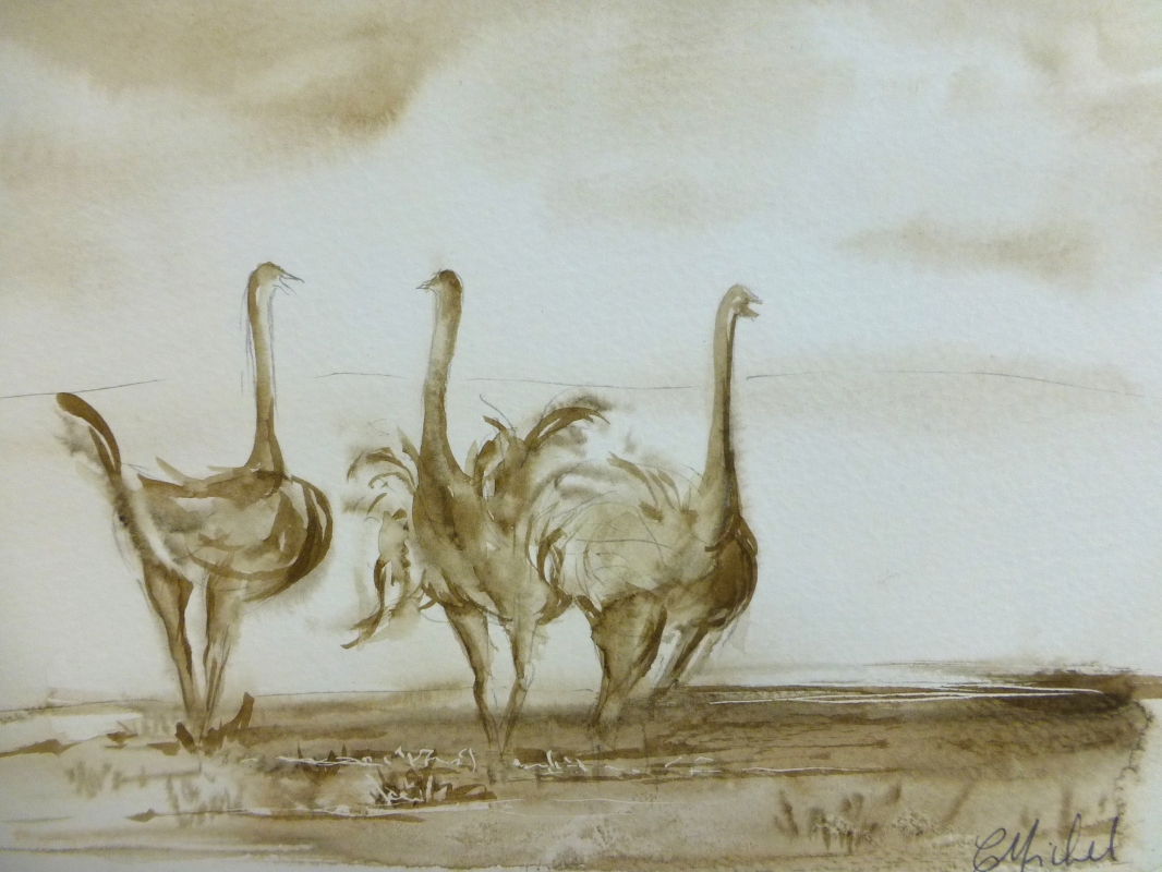 vente aquarelle PFC 114