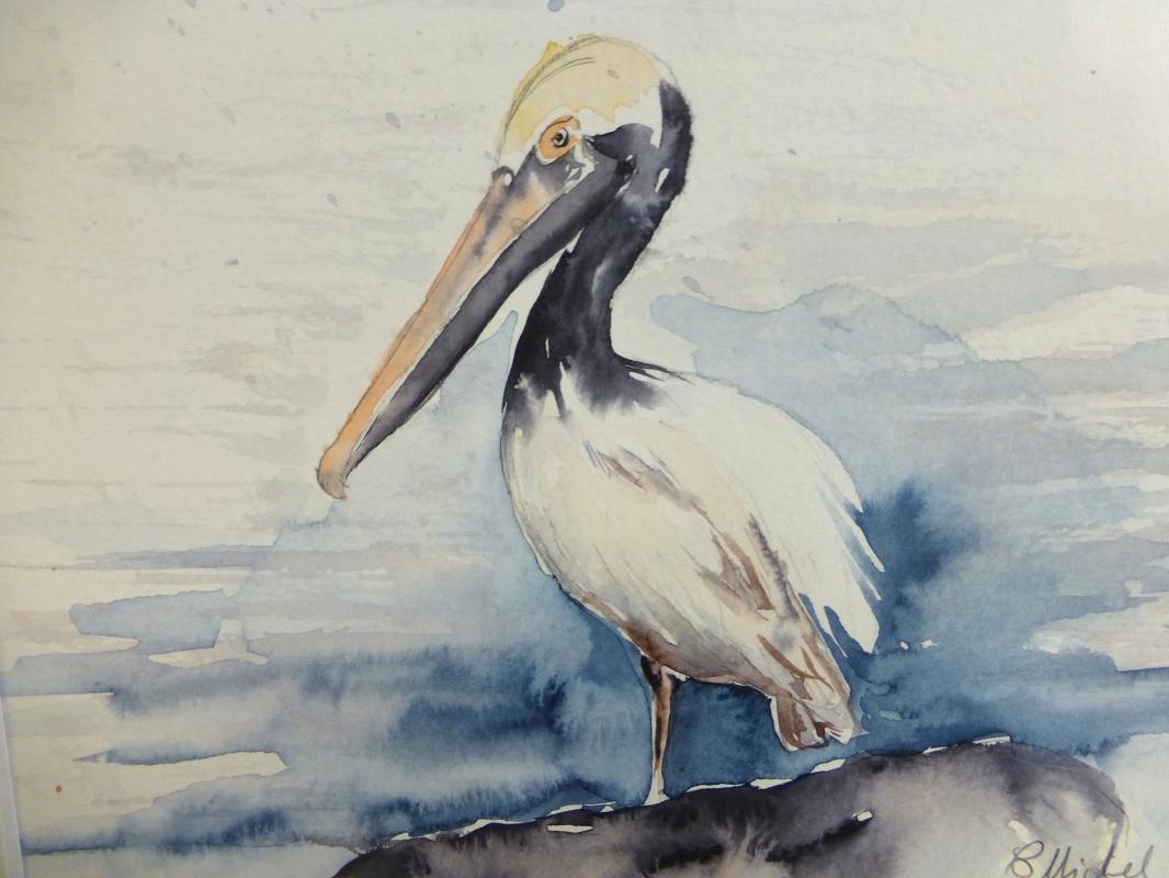 vente aquarelle PFC 116