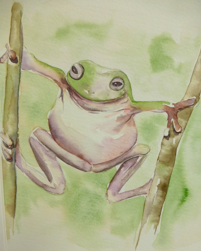 vente aquarelle PFC 120