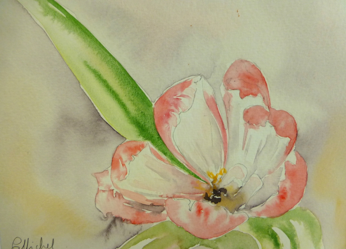 vente aquarelle PFC 147