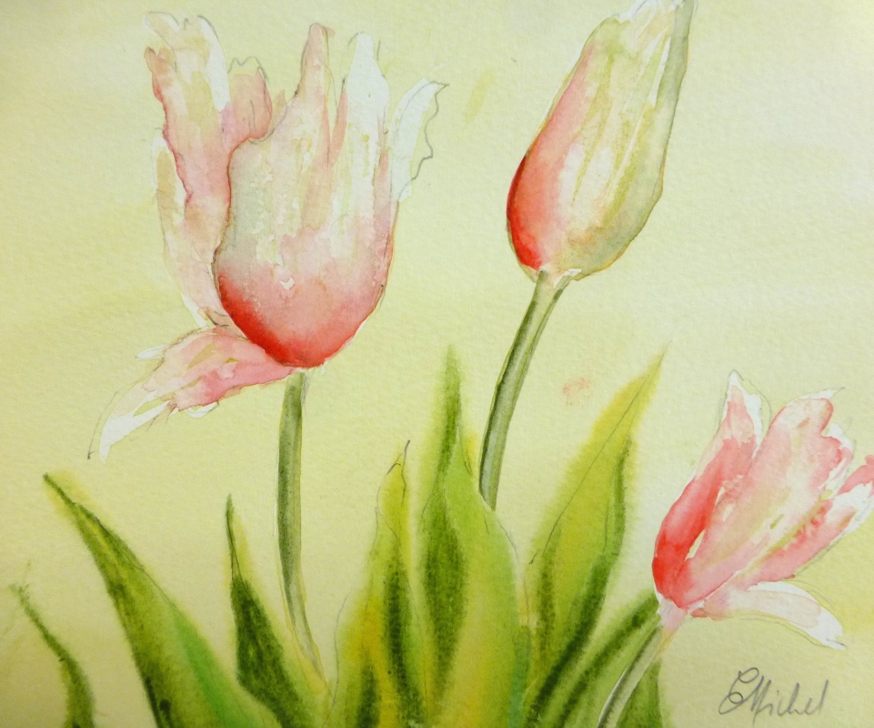 vente aquarelle PFC 148