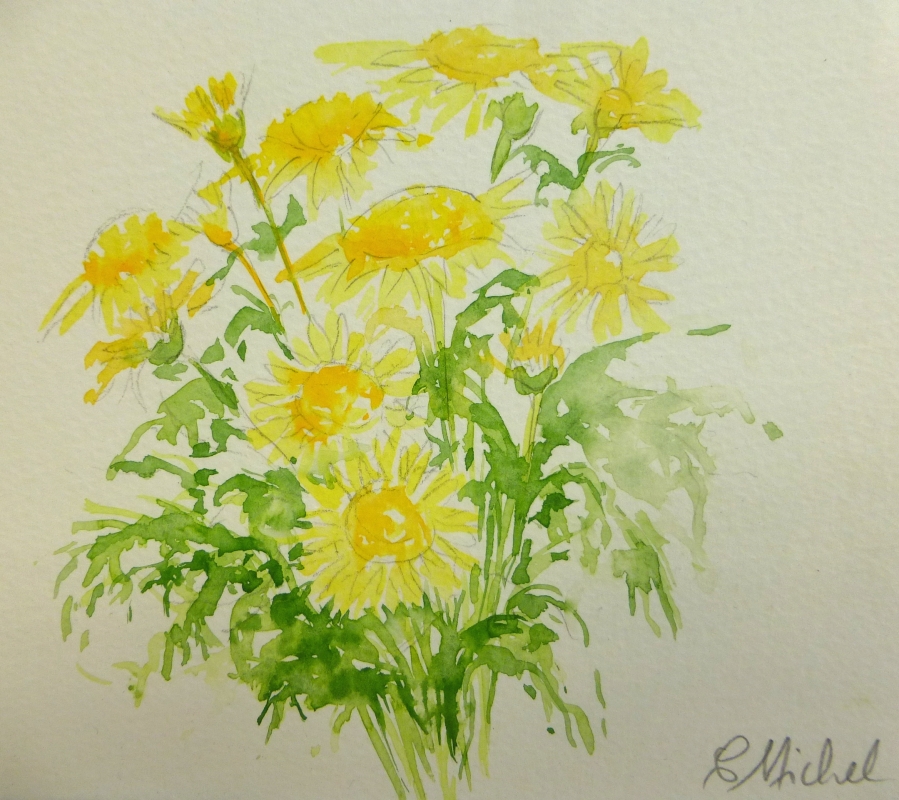 vente aquarelle PFC 155