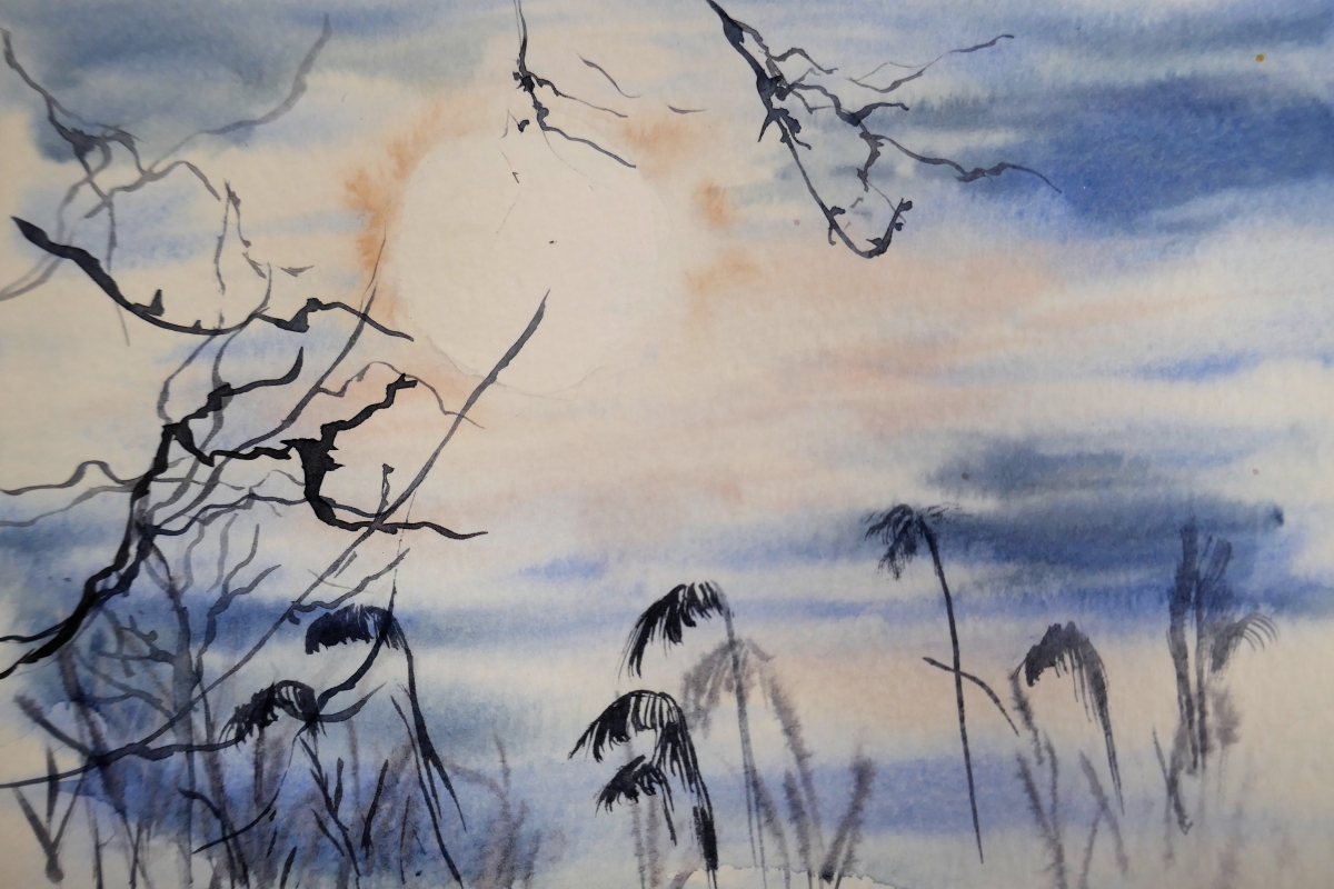 vente aquarelle PFC158