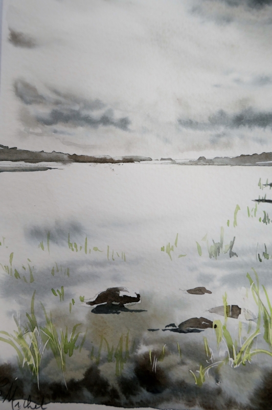 vente aquarelle PFC159