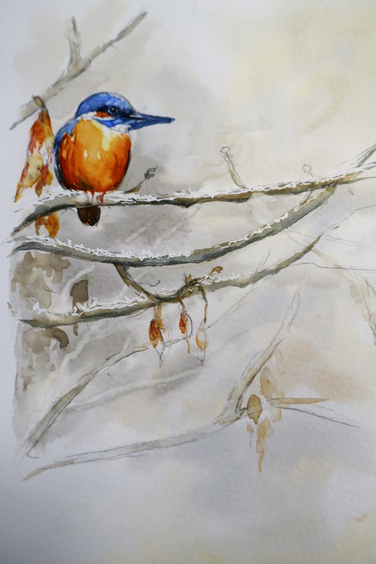 vente aquarelle PFC164