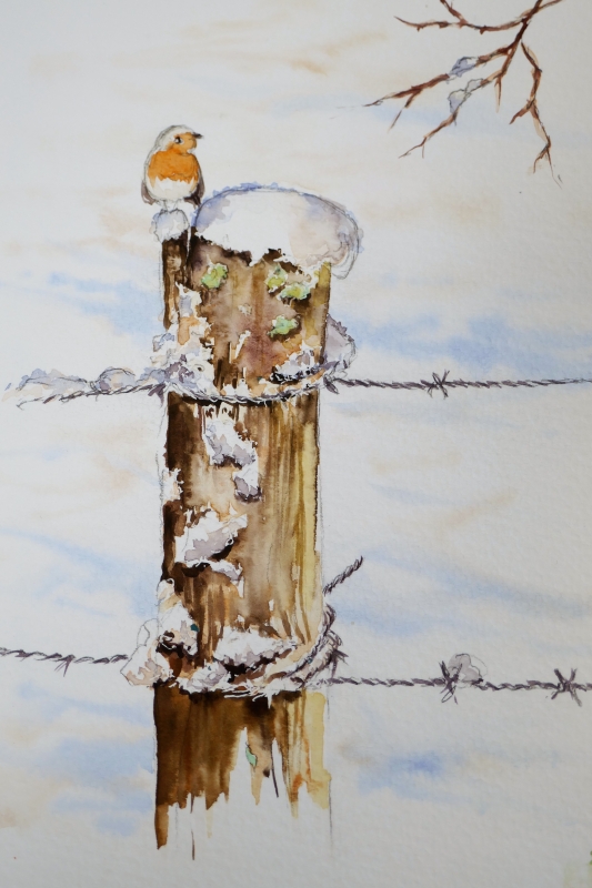 vente aquarelle PFC172