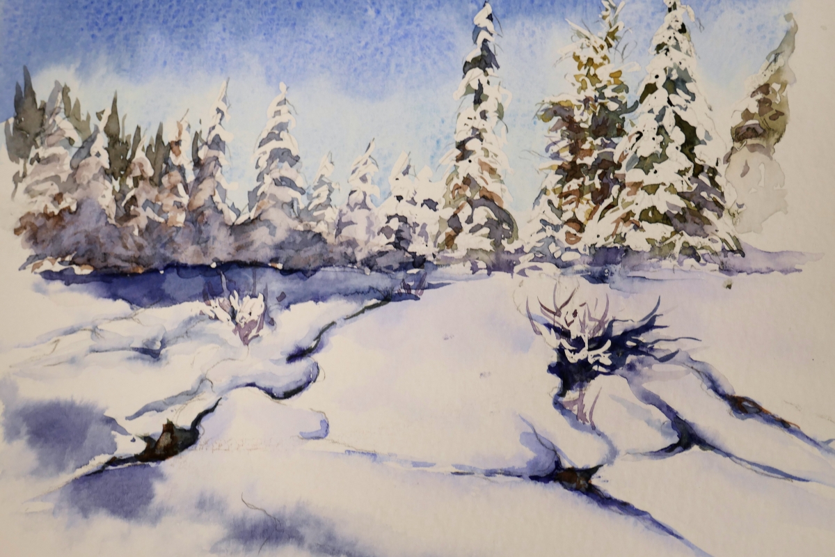 vente aquarelle PFC177