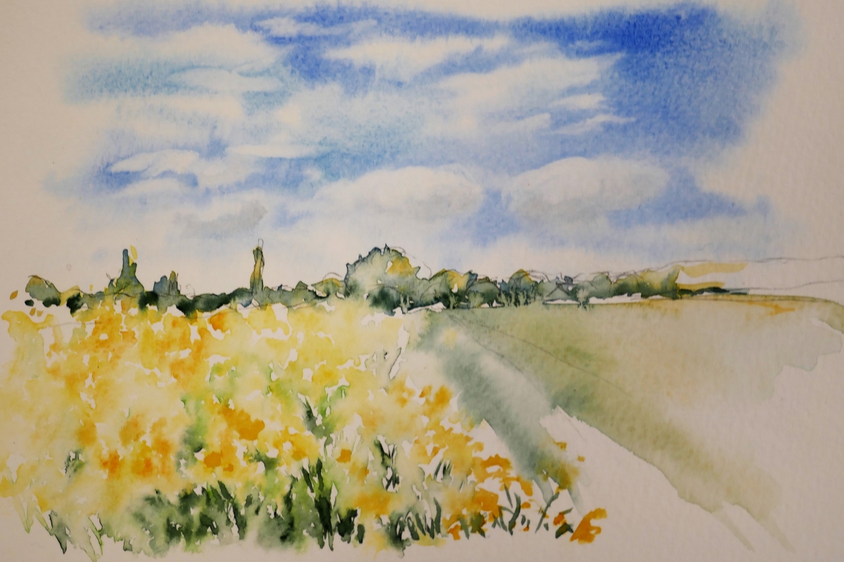 vente aquarelle PFC181