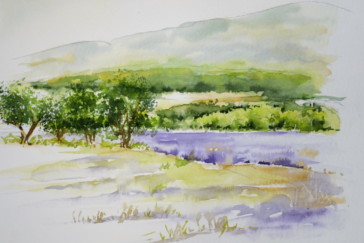 vente aquarelle PFC182