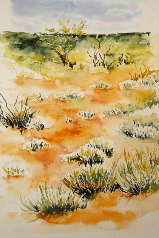 vente aquarelle PFC184