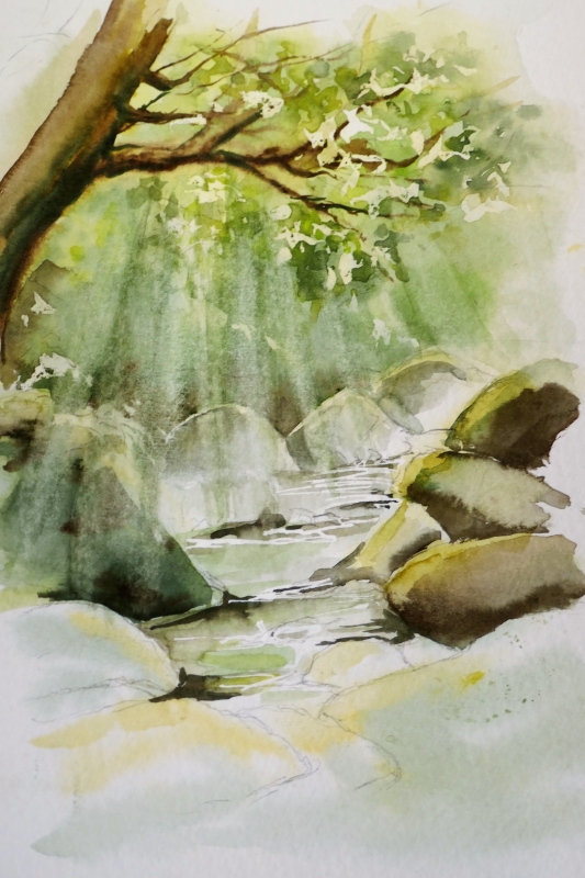 vente aquarelle PFC186