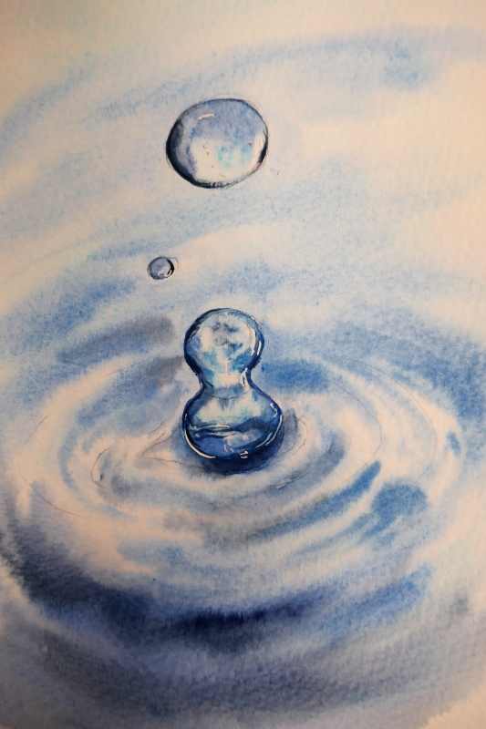 vente aquarelle PFC161