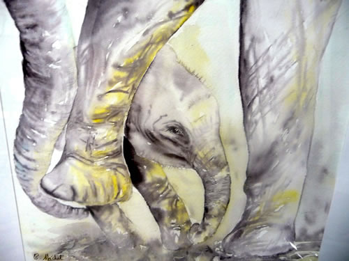 vente aquarelle L'éléphant et son petit