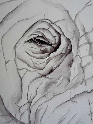 vente aquarelle Oeil