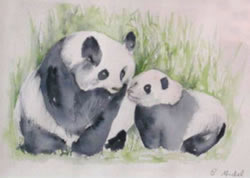 vente aquarelle Pandas