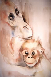 vente aquarelle Singes