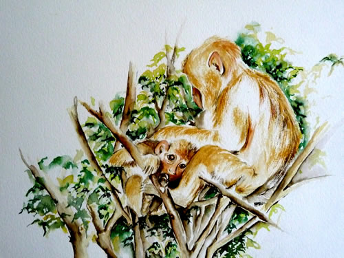 vente aquarelle Tendresse animale