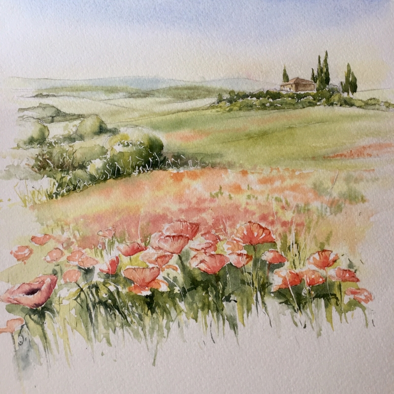 vente aquarelle Coquelicots en Toscane