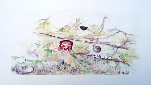 vente aquarelle Les rochers à marée basse