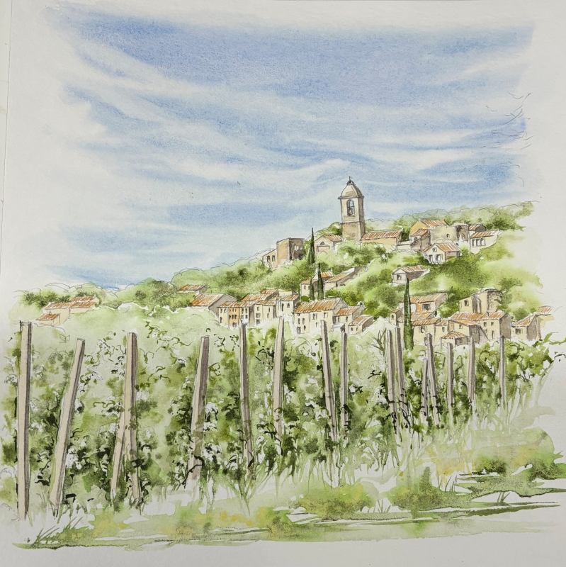 vente aquarelle Les vignes de Mormoiron