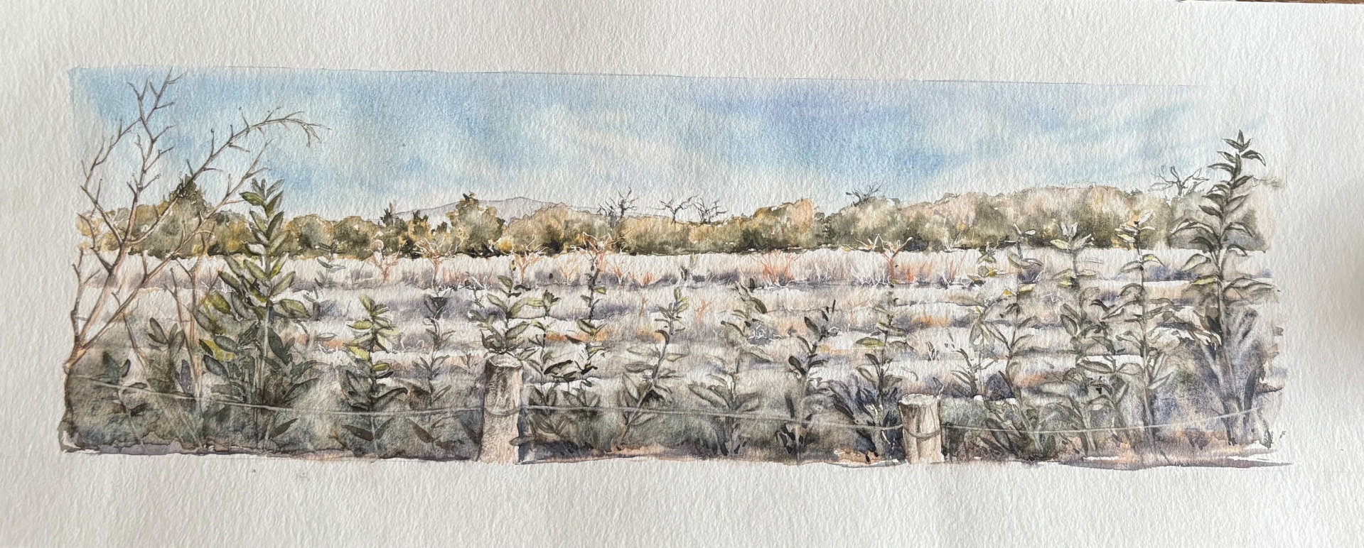 vente aquarelle Les frimas de Provence