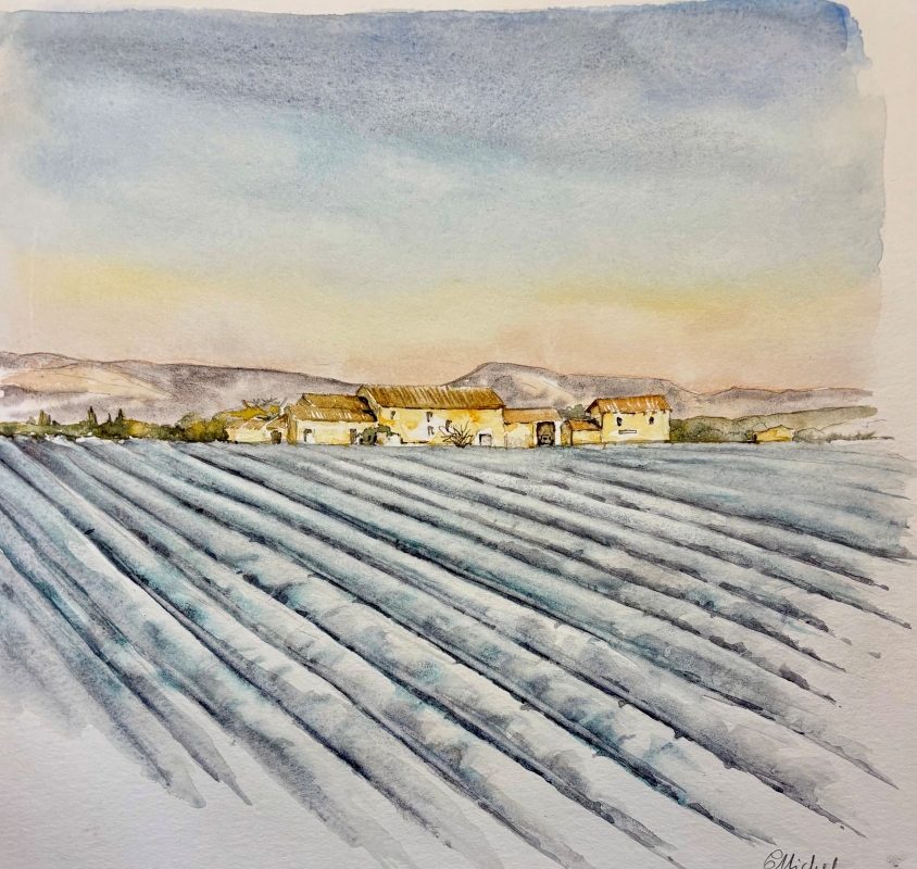 vente aquarelle Les lavandes givrées