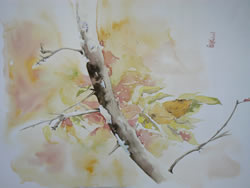 vente aquarelle Couleurs d'automne