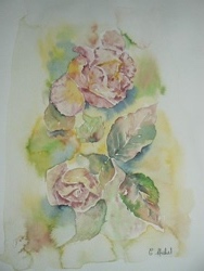 vente aquarelle Roses