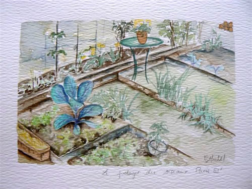 vente aquarelle Le potager des oiseaux Paris III