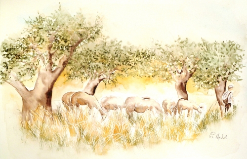 vente aquarelle Les moutons de Padul