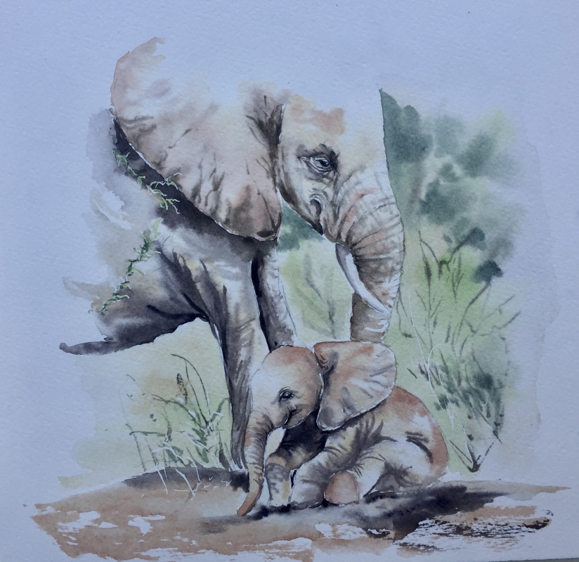 vente aquarelle Paroles d'éléphants