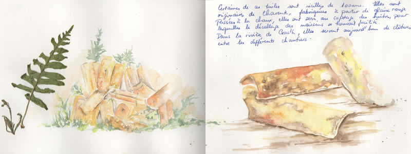 Carnet de voyage à Carnac. 14