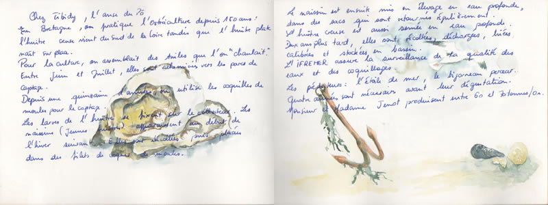 Carnet de voyage à Carnac. 5