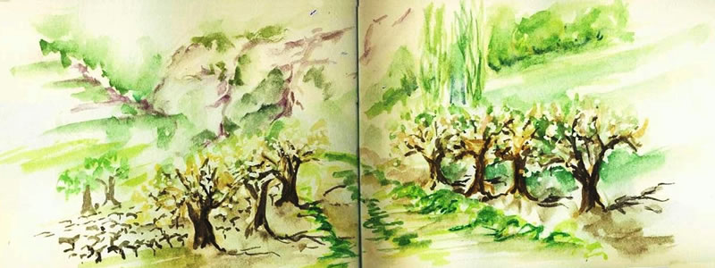 Autour du Dégoutaud, en Provence 5