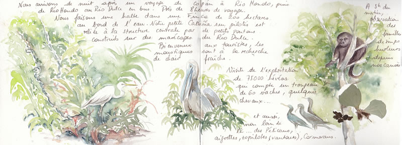 Carnet de voyage au Guatemala Tome 2 24