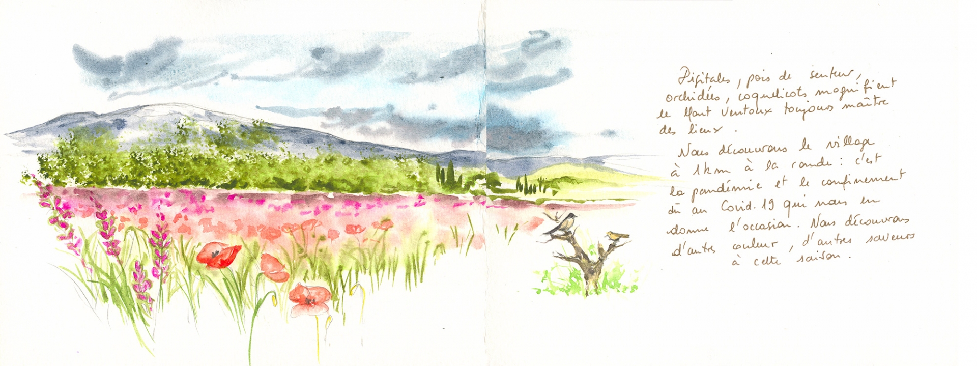 Carnet de voyage à Mormoiron 11