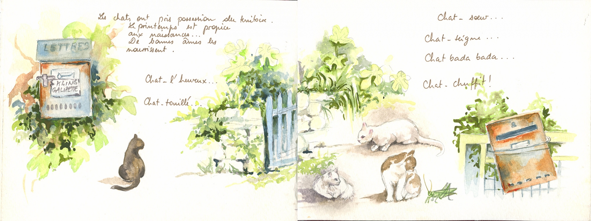 Carnet de voyage à Mormoiron 7