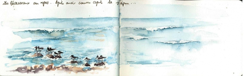 Vagabondage en Île de Ré 14