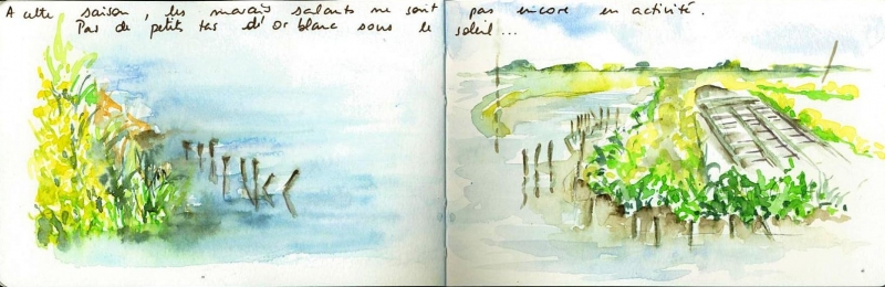 Vagabondage en Île de Ré 5