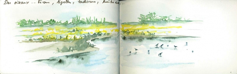 Vagabondage en Île de Ré 6